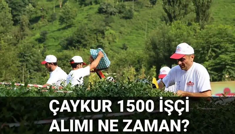 Çaykur İşçi Alımı Sürecinde Son Gelişmeler ve Başvuru Tarihleri