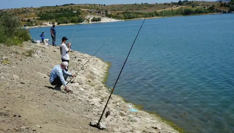 Baraja Akın Eden Kalabalık, Patlayan Kafesler için Neden Toplandı?