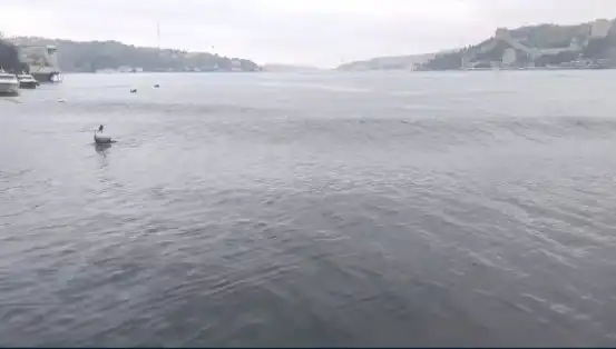 İstanbul'da Şiddetli Deprem: Denizde Dalgalar Yükseldi!