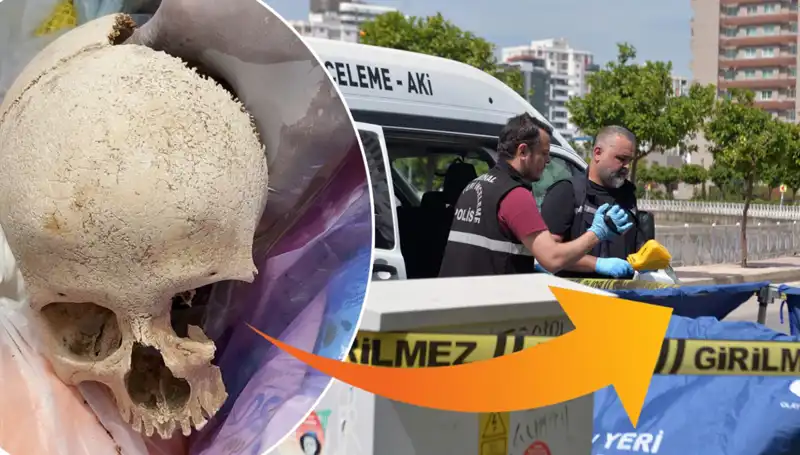 Sitenin Çöpünden Çıkan Kafatasının Gizemi! Uzman Doktor Gözaltına Alındı