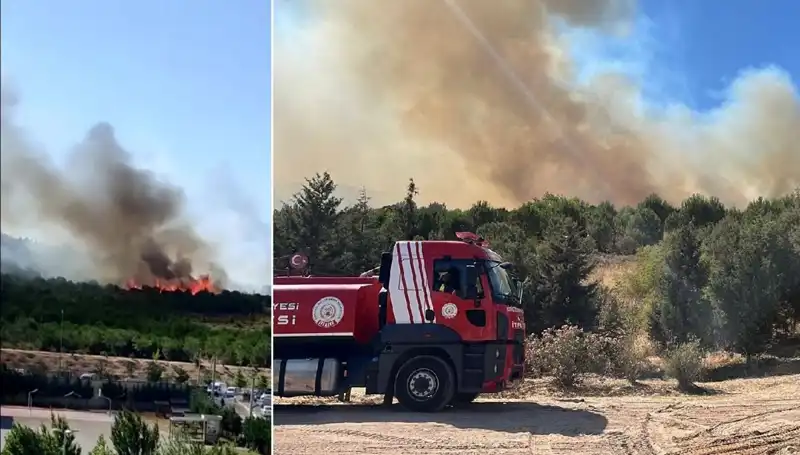 Gebze'de Tarihi Orman Yangını: Doğaya Verilen Zarar ve Kurtarma Çabaları