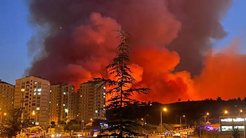 Bursa'nın Gözde Alanlarında Yangın Alarmı: Tehlikeli Durumlar!