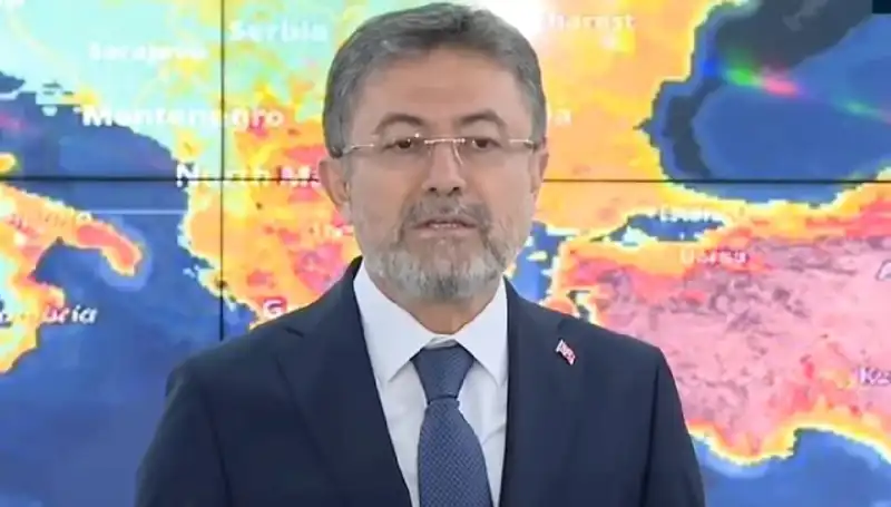 Orman Yangınlarındaki Son Durum: Sadece Harmancık Yangını Sürüyor!