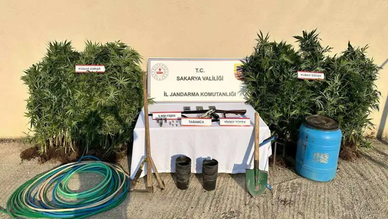 Sakarya'da Uyuşturucu Operasyonları Artıyor: 1 Kişi Tutuklandı