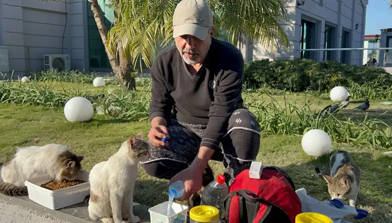 59 Yaşındaki Adamın Gündelik 8 Kilometre Yürüyüşü: Merhametin Gücü