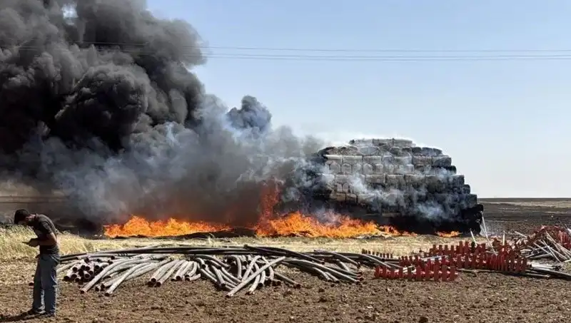 Mardin'de Anız Yangını: Tarım Alanlarını Tehdit Eden Büyük Tehlike