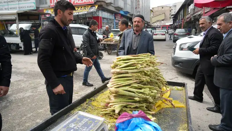 Dağlardan Gelen Şeker: Sağlık Faydaları ve Mistik Hikayesi
