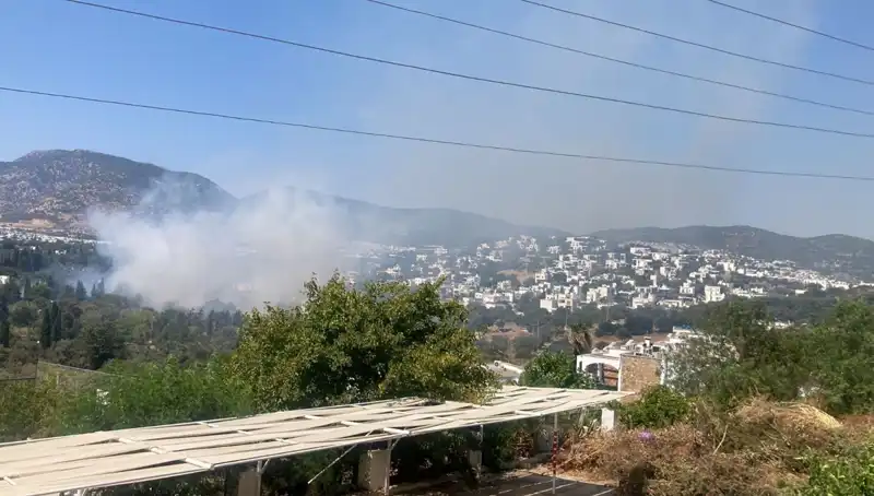 Muğla'da Orman Yangınları Kontrol Altında: Son Durum ve Önlemler