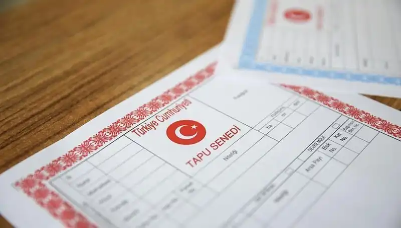 100 Milyonluk Dolandırıcılık Skandalı: Hisseli Tapu Tuzakları Deşifre Edildi