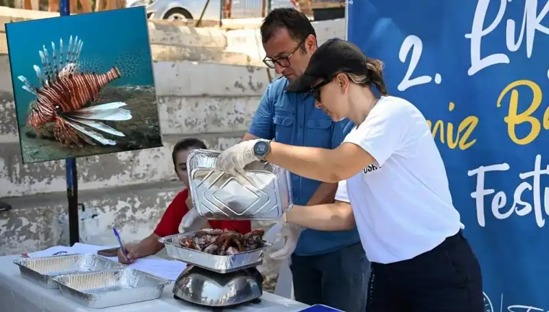 Antalya'da Heyecan Dolu İstilacı Aslan Balığı Avlama Yarışması Başlıyor!