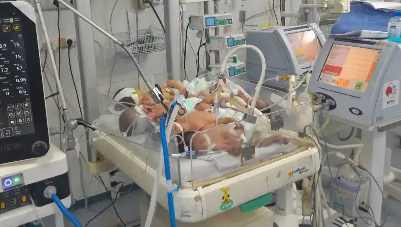 Gazzeli Doktorlar Çaresizlikle Mücadele Ediyor: Kuvözler Yetersiz Kalıyor