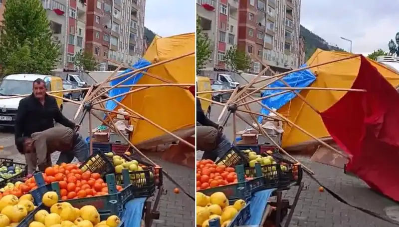 Artvin'de Fırtına Neden Olduğu Olumsuz Etkiler ve Kurtarma Çalışmaları