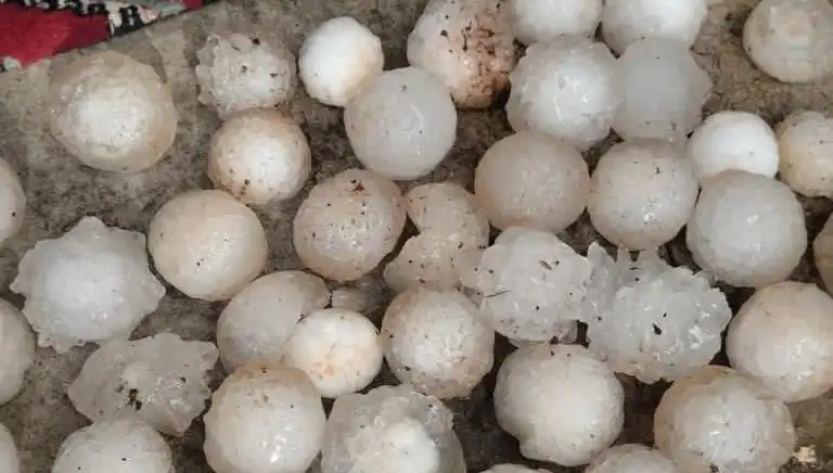 Şanlıurfa’da Kar Topu Büyüklüğünde Dolu Yağışı Hayatı Olumsuz Etkiledi